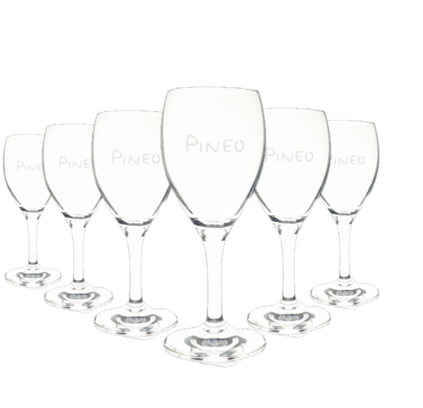 6x Pineo Wasser Glas, Trinkglas, Gläser , Stielglas, Trinkgläser mit Stiel